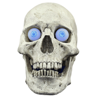 skull-turn-animation.gif skull-turn-animation.gif
