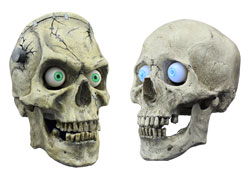 skulls-two.jpg skulls-two.jpg